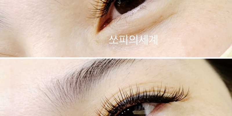 쏘피의세계