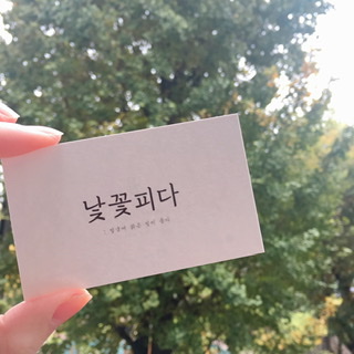 낯꽃피다