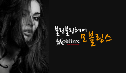 모블링스부산지사 