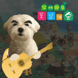 헤어앤코