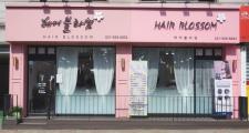 헤어블라썸