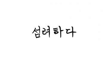 섬려하다