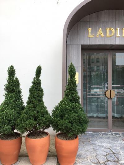 ladino