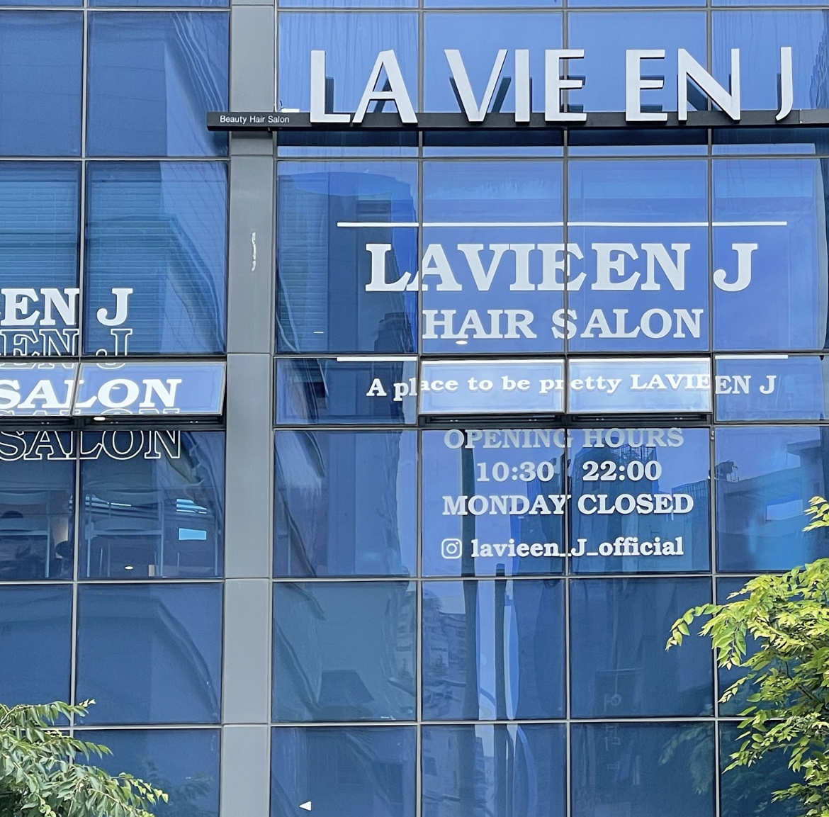 LA VIE EN J