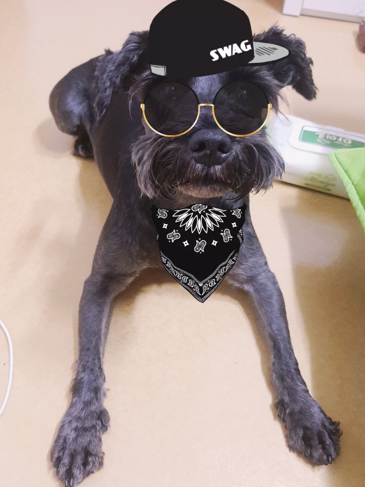 민je헤어