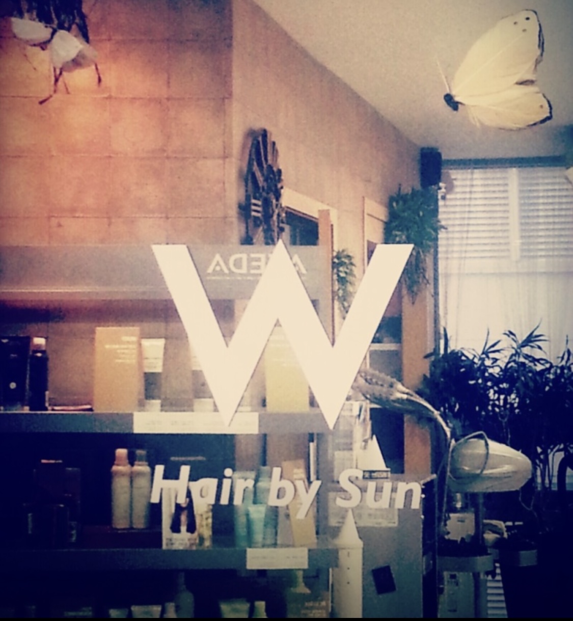 W헤어AVEDA