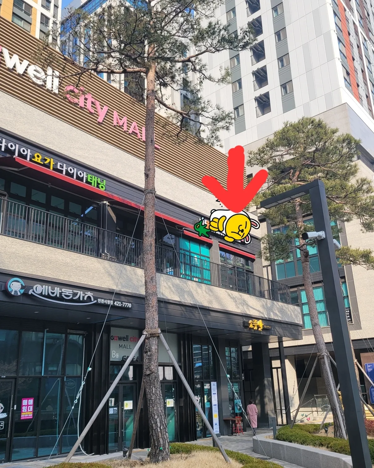 살롱드화이트