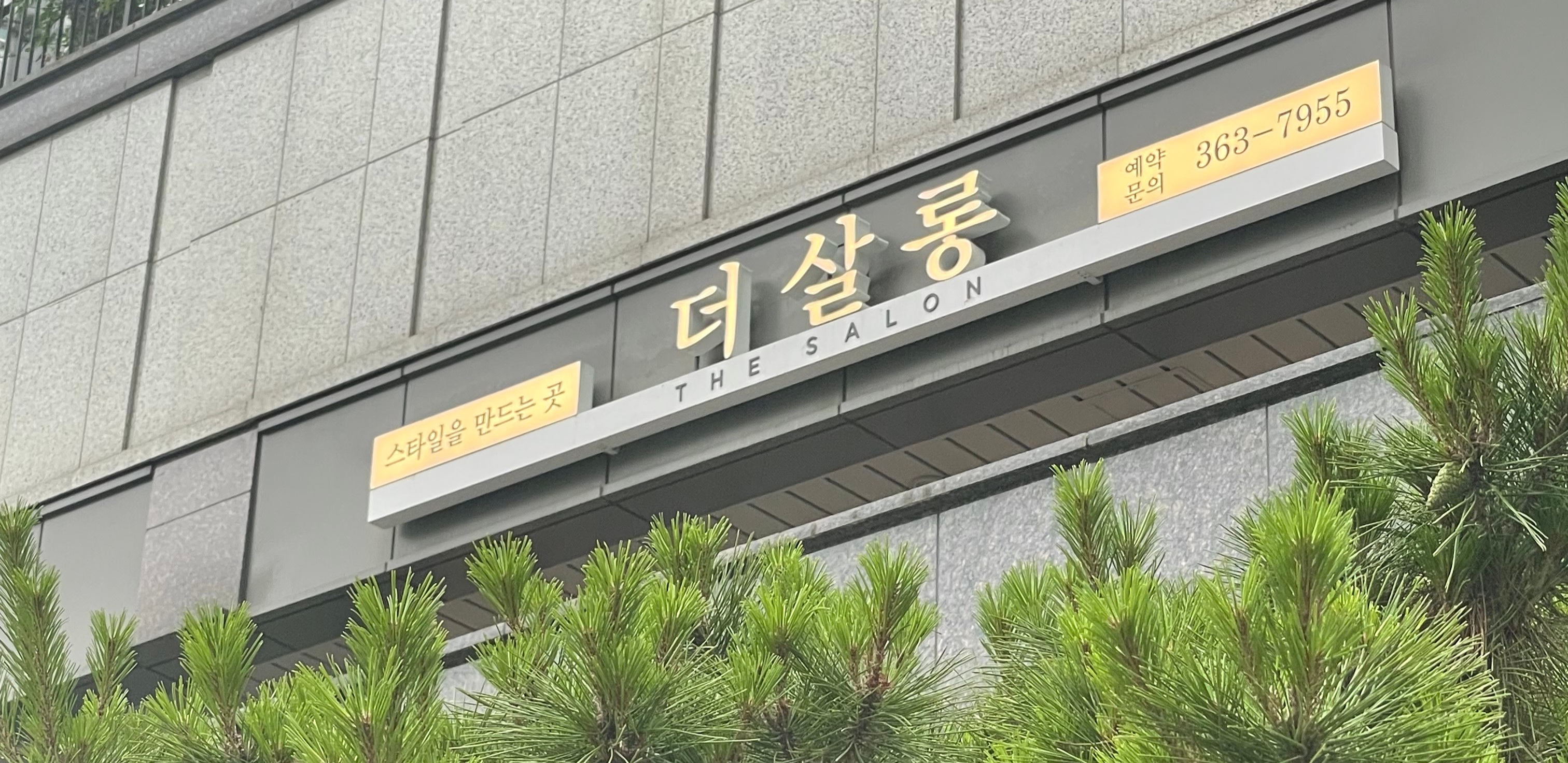 더살롱