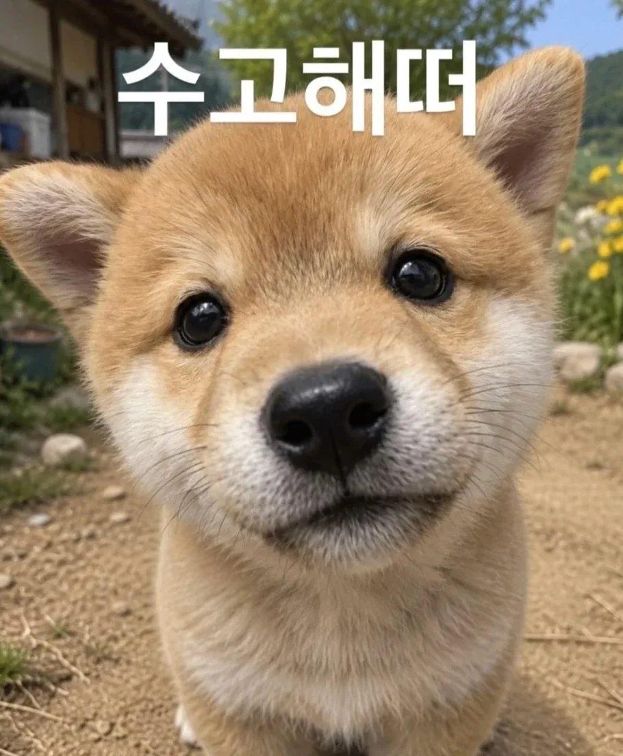 전주 서신동 60평 미용실 양도｜시설·기계·제품 일체｜즉시 영업 가능